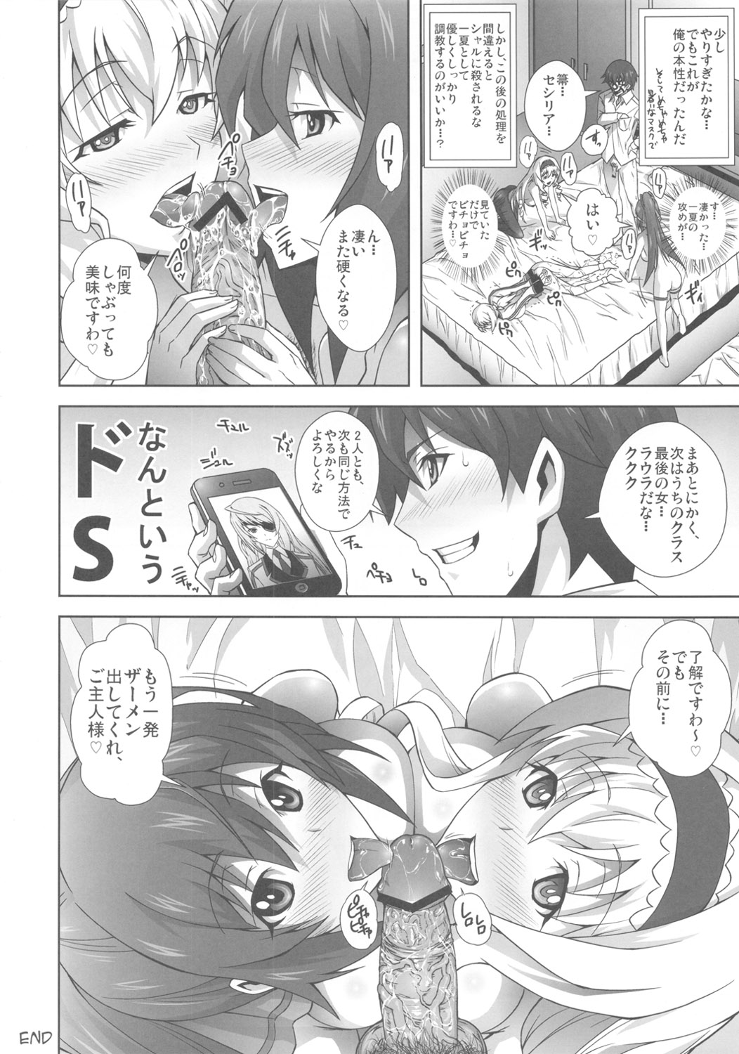 (COMIC1☆5) [鴨ローサーズ (オオバンブルマイ)] 淫フィニットドSトラトス (IS＜インフィニットストラトス＞)