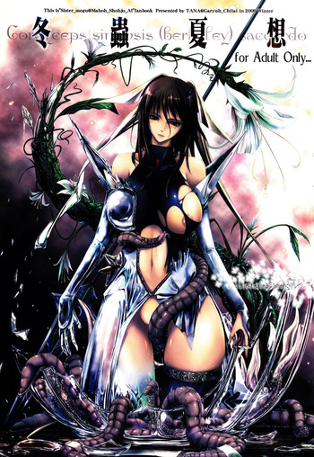 (C77) [我流痴帯 (TANA)] 冬蟲夏想 (魔法少女アイ) [英訳]