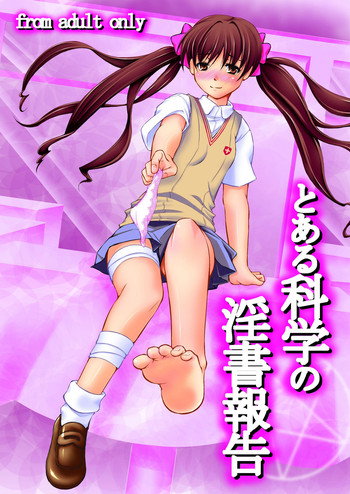 [たかねの花園 (たかねのはな、坂本龍登志)] とある科学の淫書報告 (とある魔術の禁書目録)