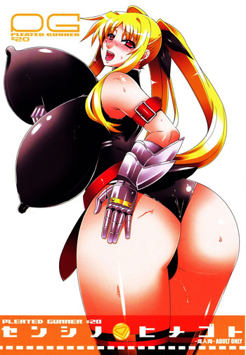 (C77) [HGH (HG茶川)] PG#20 センシノヒメゴト (魔法少女リリカルなのは)