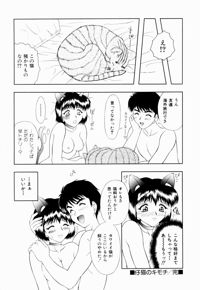 [御前零士] テンプテーション