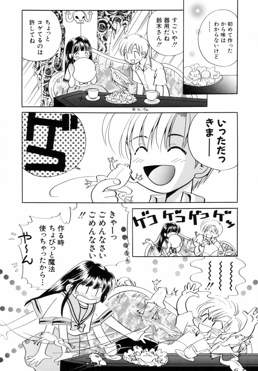 [流星ひかる] いつか、王子さまが。