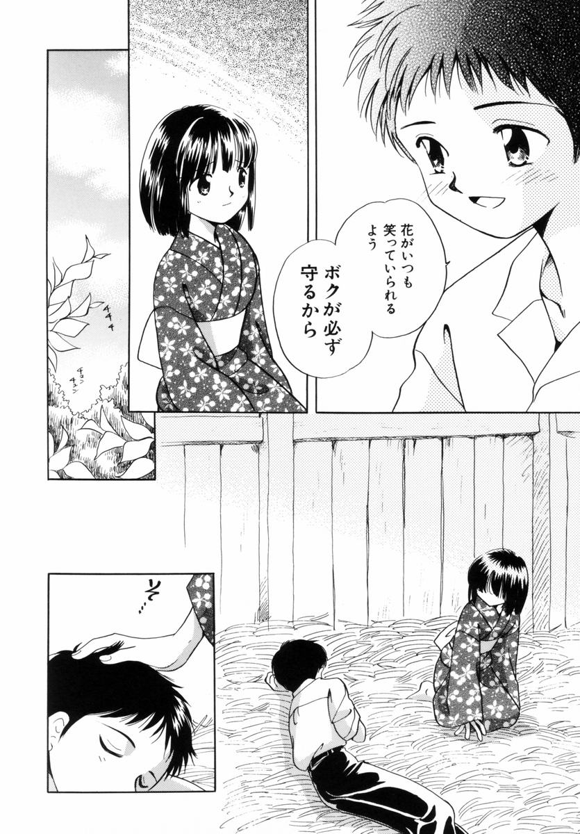 [流星ひかる] いつか、王子さまが。