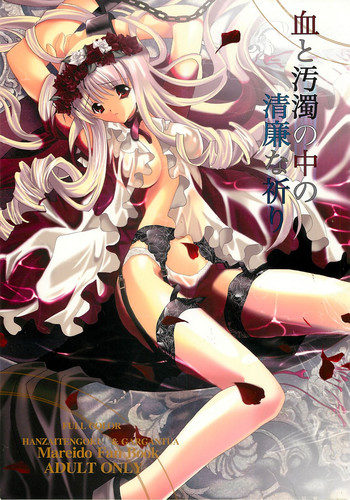 (C68) [犯罪天国、GARGANTUA （ハセイアガナ、矢野口紅子）] 血と汚濁の中の清廉な祈り (マレイド)