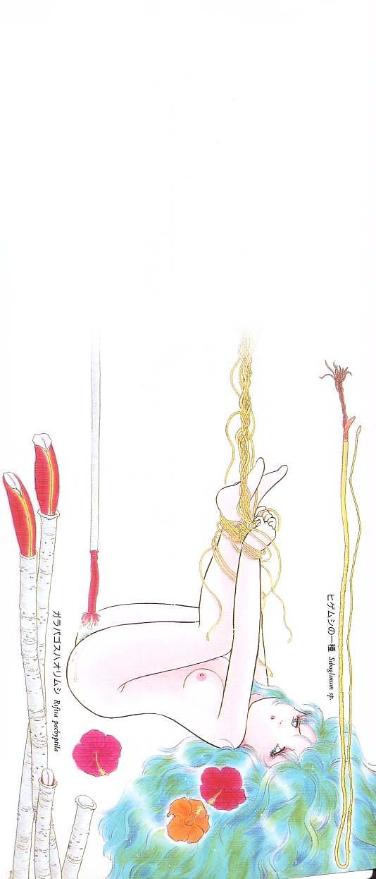 [となみむか] 少女の適応と放散