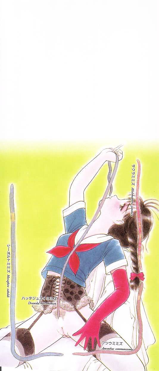 [となみむか] 少女の適応と放散