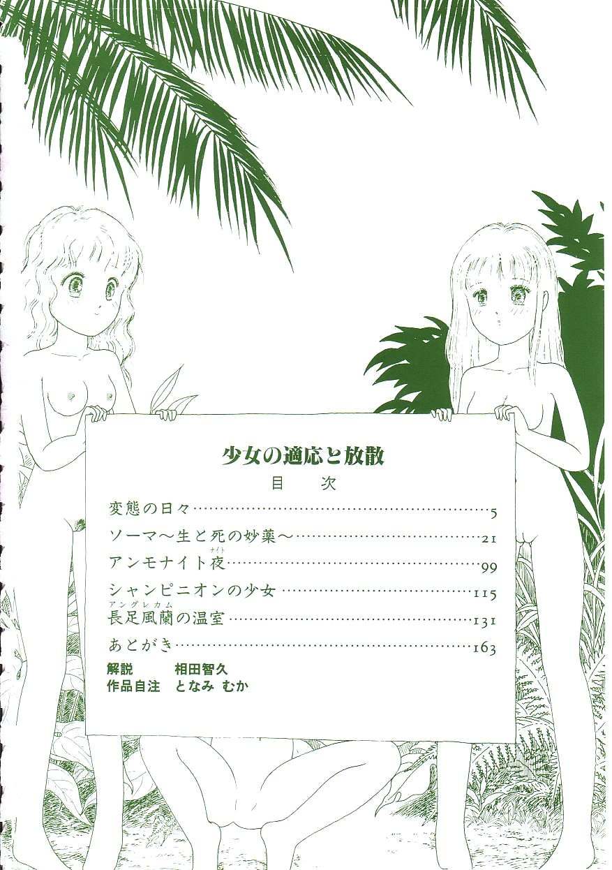 [となみむか] 少女の適応と放散