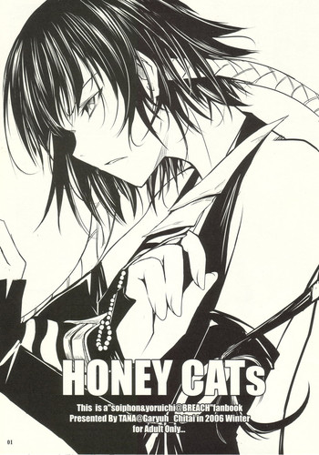 (C71) [我流痴帯 (TANA)] HONEY CATs (ブリーチ)