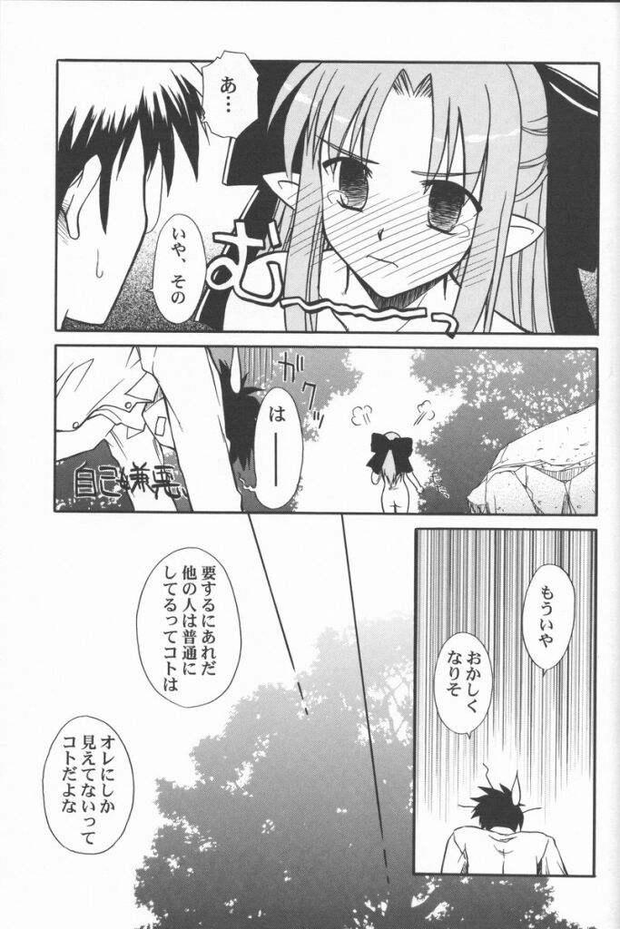 (Cレヴォ31) [怪奇日蝕 (綾野なおと)] Untouchable Girls (月姫)