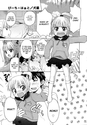 【犬星】ピーチハート【ENG】