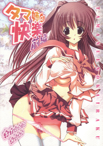 (C68) [STUDIOふあん (来鈍)] タマ姉の快楽 前編 (トゥハート2)