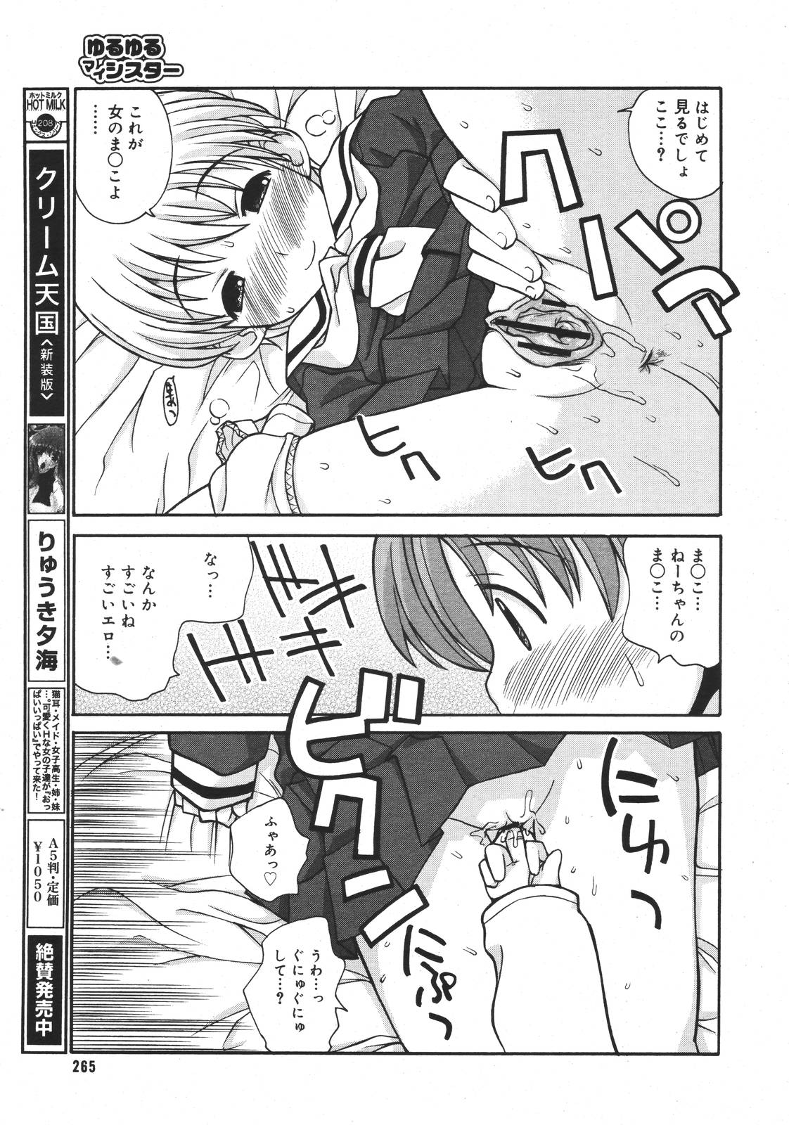 【アンソロジー】【2007-03-10】COMICMEGAPLUS Vol.42（2007-04）