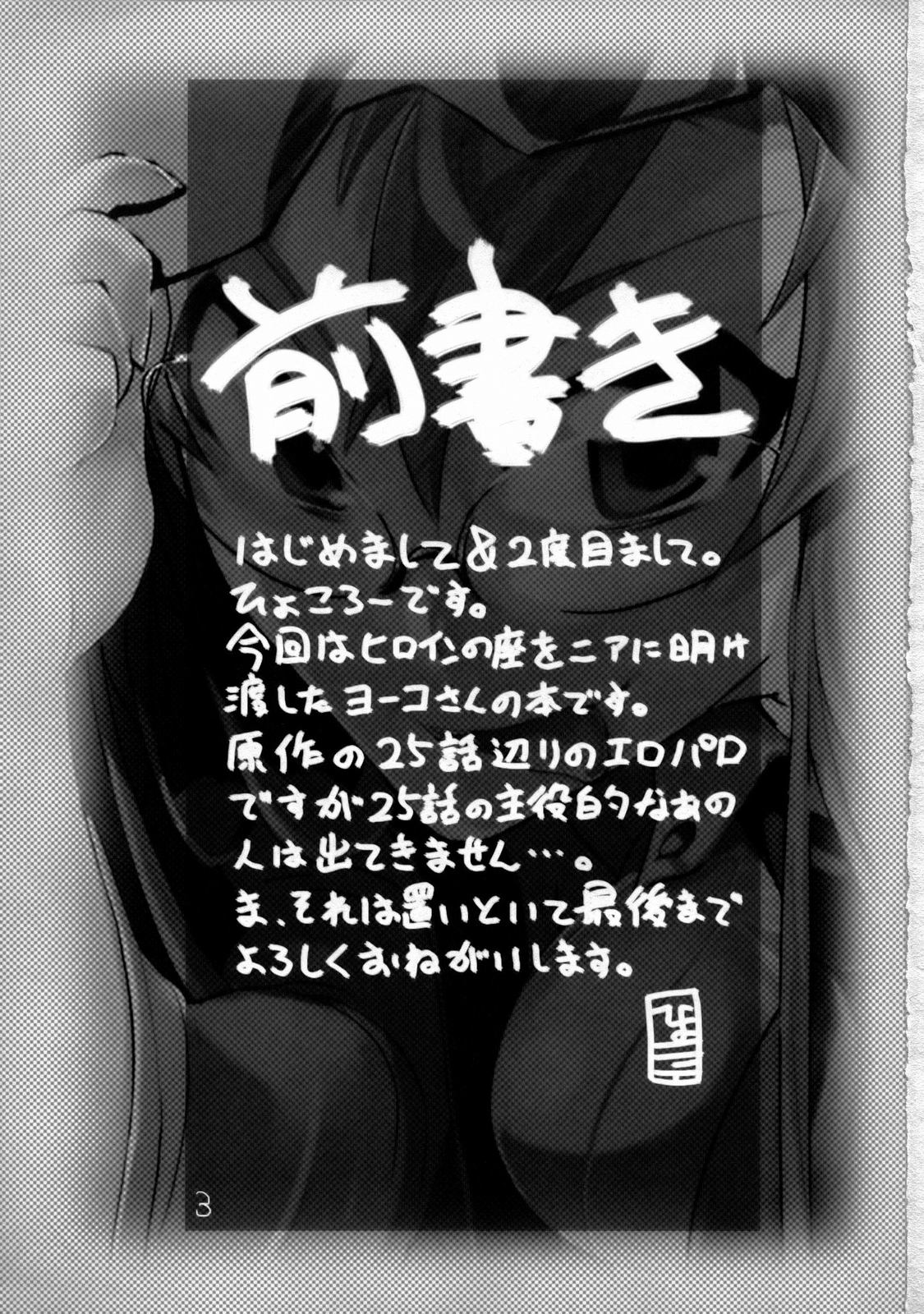 (C73) [ひょこ道 (ひょころー)] 120% DRILL (天元突破グレンラガン)