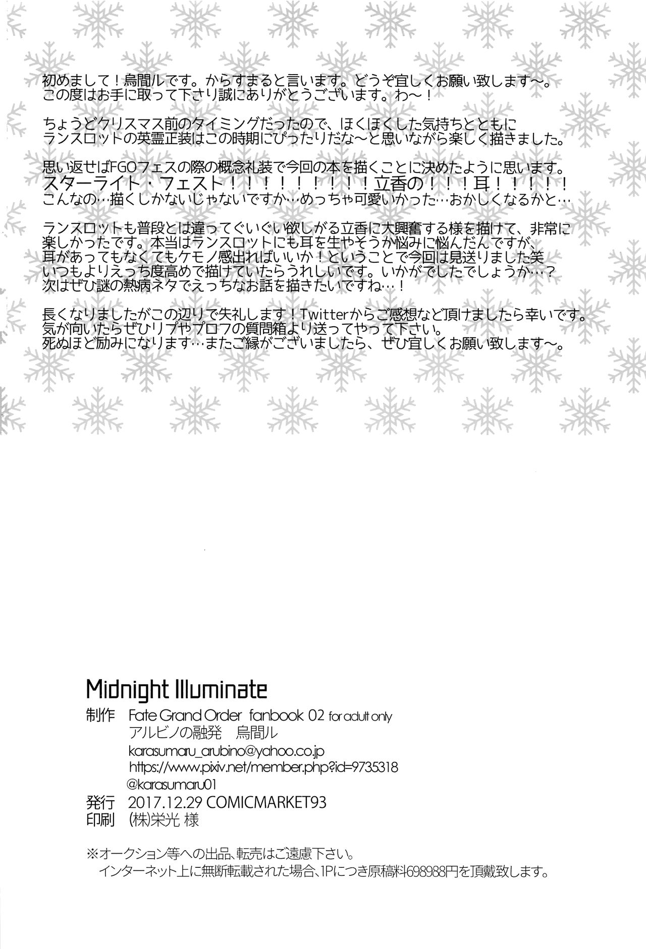(C93) [アルビノの融発 (烏間ル)] Midnight Illuminate (Fate/Grand Order)