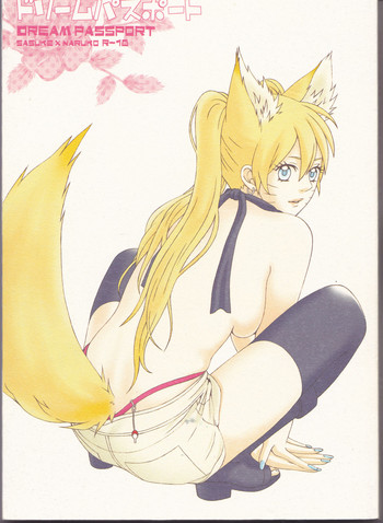 (C75) [PIERRE (瓦落多装置)] ドリームパスポート (NARUTO -ナルト-)