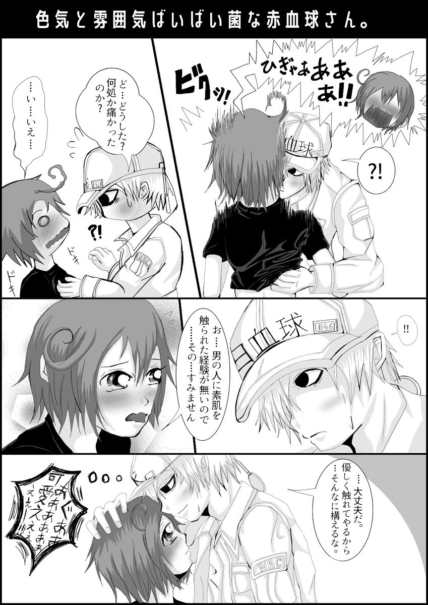 【モラシカQ】はたらく細胞はたらく細胞R18-だマンガ（はたらく細胞）