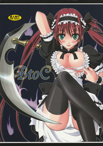 (C76) [VENOM (もりまりも, ZIN)] BtoC (クイーンズブレイド)