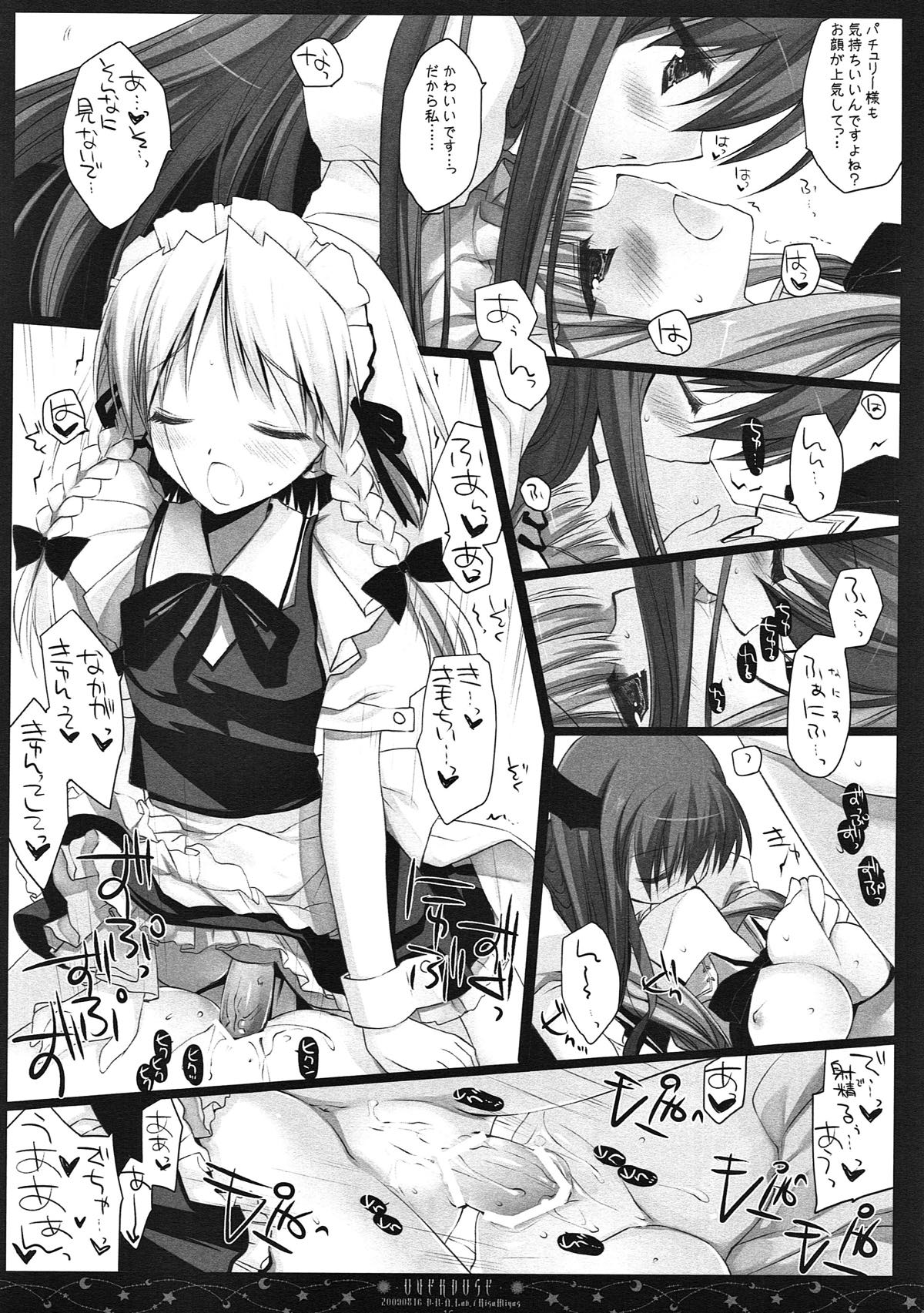 (例大祭10) [D・N・A.Lab. (ミヤスリサ)] SEREVENT (東方Project)