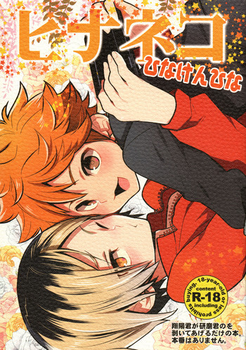 (IDLING ATTACKER7) [違んTORINO (S.濃すぎ)] ヒナネコ (ハイキュー!!)