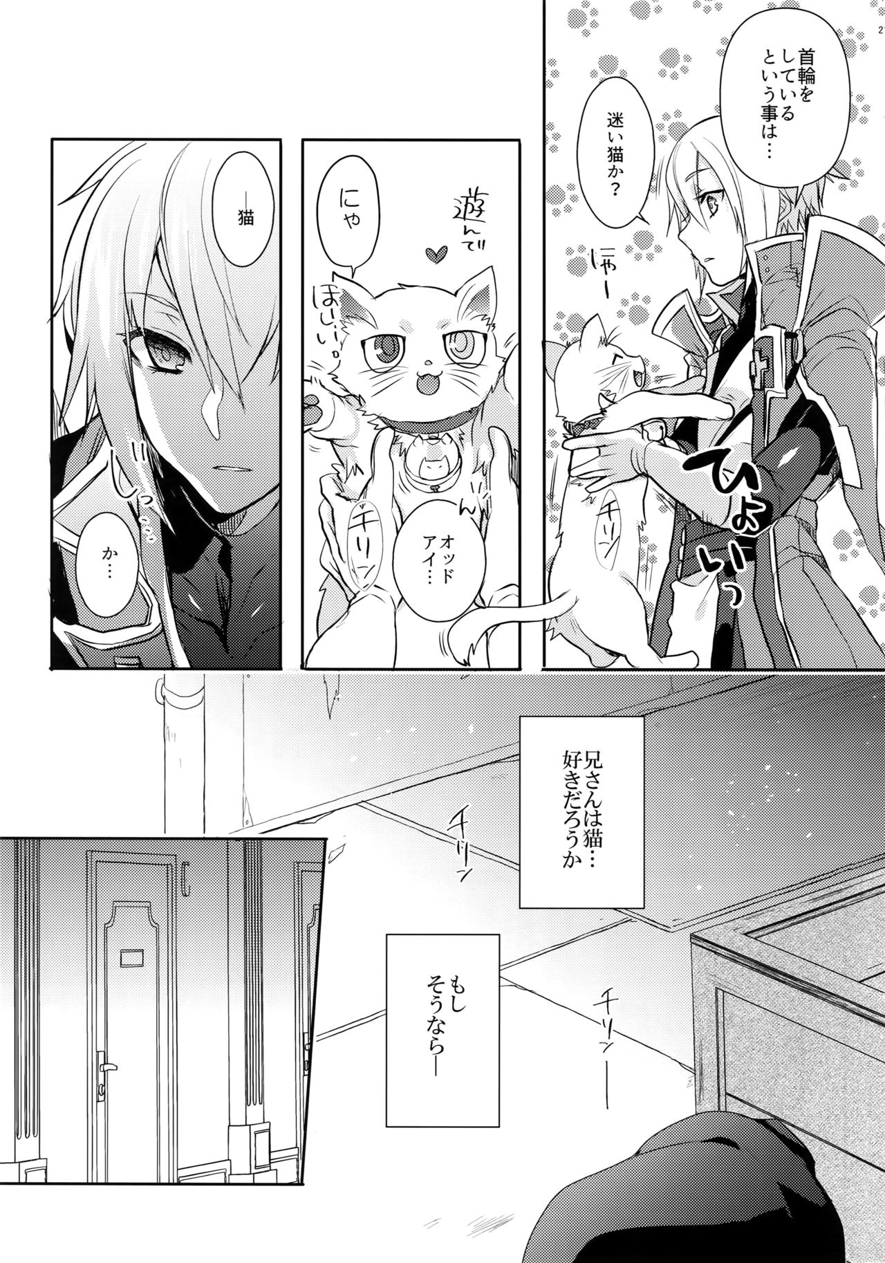 (C92) [うづきのこ(猫驀地)] とある衛士の妄想日誌 (ブレイブルー)