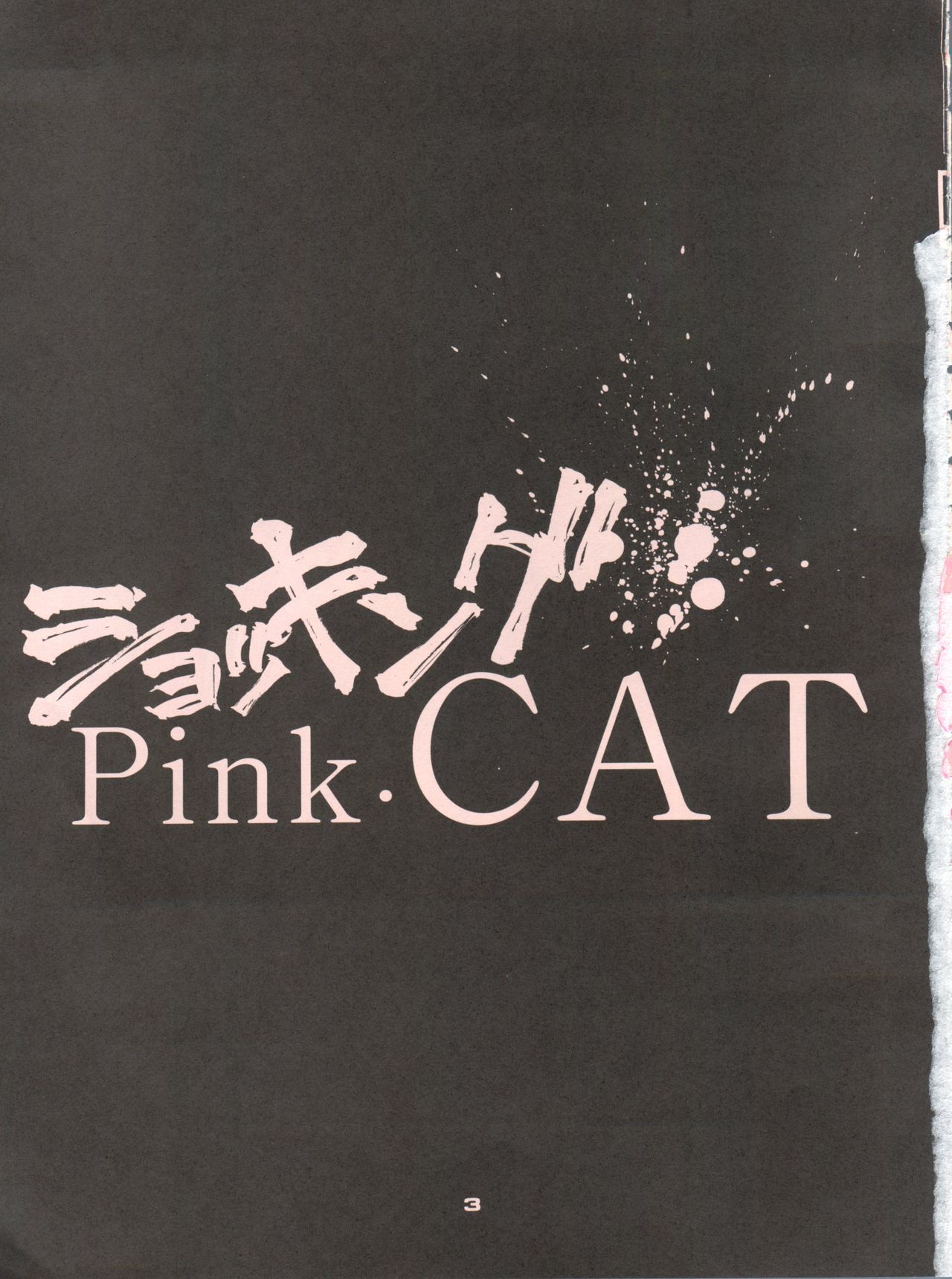 (C48) [Pussy CAT (大野哲也)] ショッキングPINK・CAT (よろず)