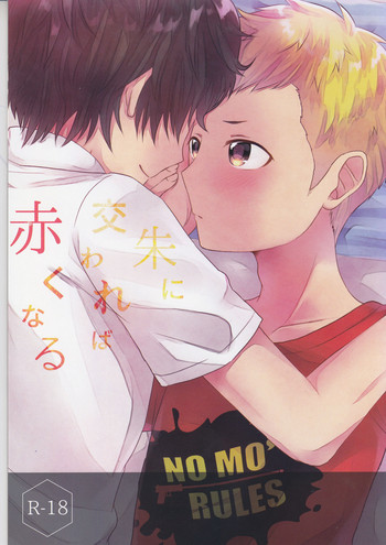 (アナザーコントロール6) [浅葱流 (桜石)] 朱に交われば赤くなる (ペルソナ5)