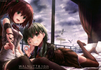 (C91) [翠苑 (翠燕)] WALNUT78 10th (艦隊これくしょん -艦これ-)