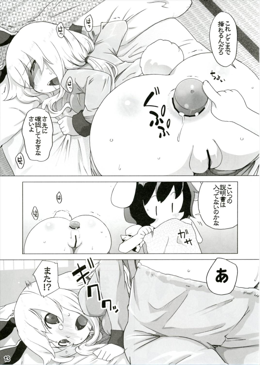 (幻想郷サミット4) [ももエゴ (けいじえい)] 風邪ひき兎と看る兎。 (東方Project)