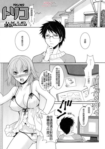 [九条志怜] トリコ (にょたいか ダイナマイツ!) [中国翻訳]