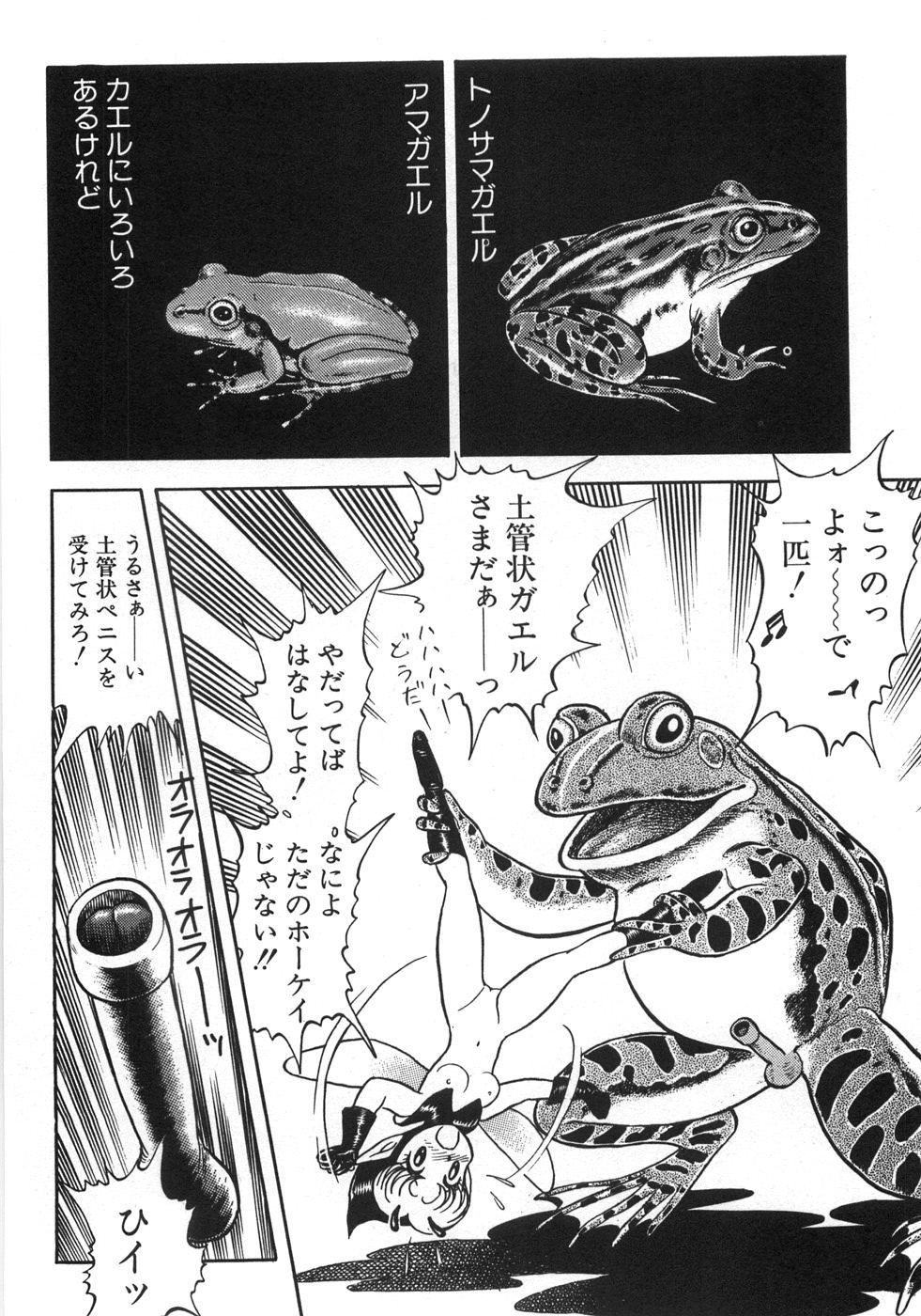 [昆童虫] ボンデージフェアリーズ残忍姉妹