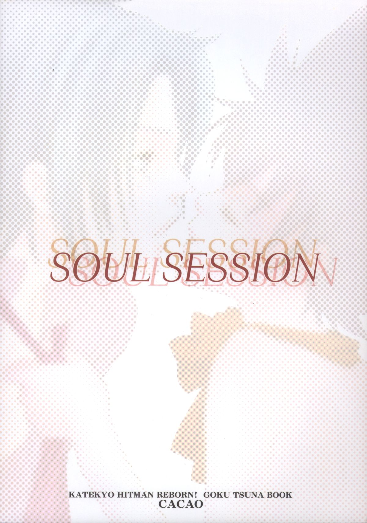 (C71) [CACAO (あてね)] SOUL SESSION (家庭教師ヒットマンREBORN!)