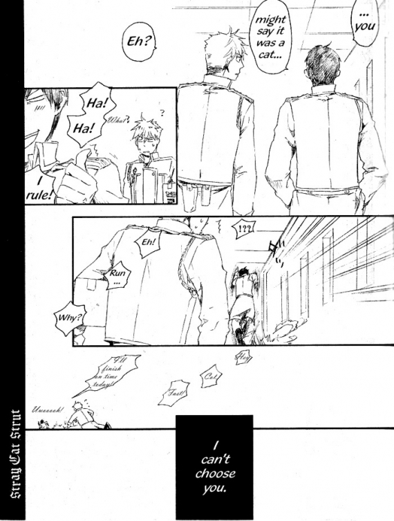 [NINEKOKS (九號)] Stray Cat Strut #5.5 (鋼の錬金術師) [英訳]