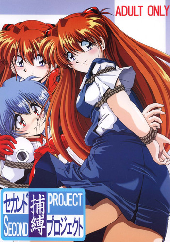 (Cレヴォ36) [サーティセイバーストリート・2D-シューティング (牧秀人, 佐原一光)] セカンド捕縛プロジェクト (新世紀エヴァンゲリオン) [DL版]