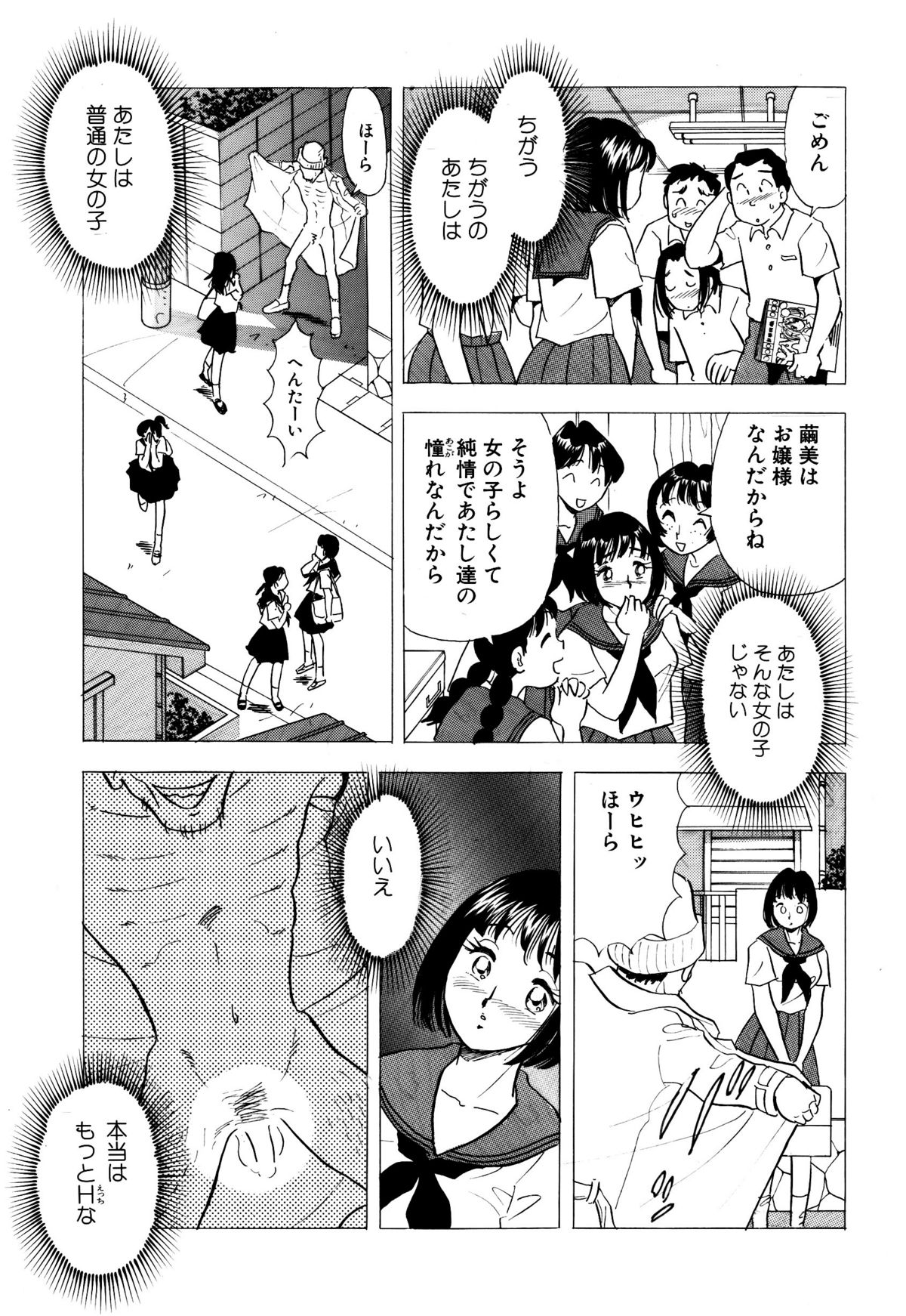 [丸美企画] ひみつ妻2