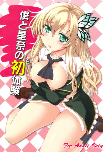 (C81) [i.r.o.Zi (睦月ぎんじ、葵信次)] 僕と星奈の初体験 (僕は友達が少ない)