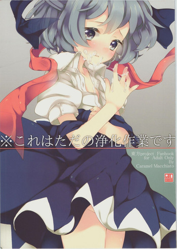 (例大祭SP2) [Caramel Macchiato (まき)] ※これはただの浄化作業です (東方Project)