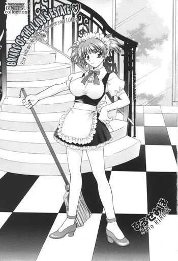 【廣瀬美穂】婦人団地の兄弟(英語) 【廣瀬美穂】婦人団地の兄弟(英語)