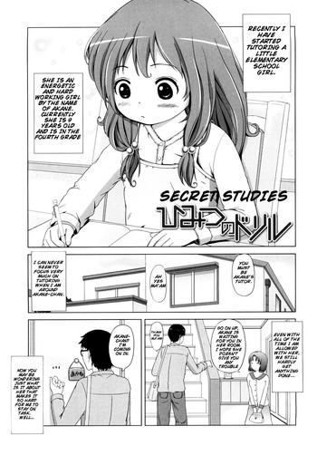 【ひめのみかん】秘密研究【英語】【ミストバーン】