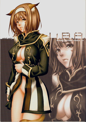 (C71) [赤い翼 (橘茶茶)] V.B.A. (ファイナルファンタジーXI)