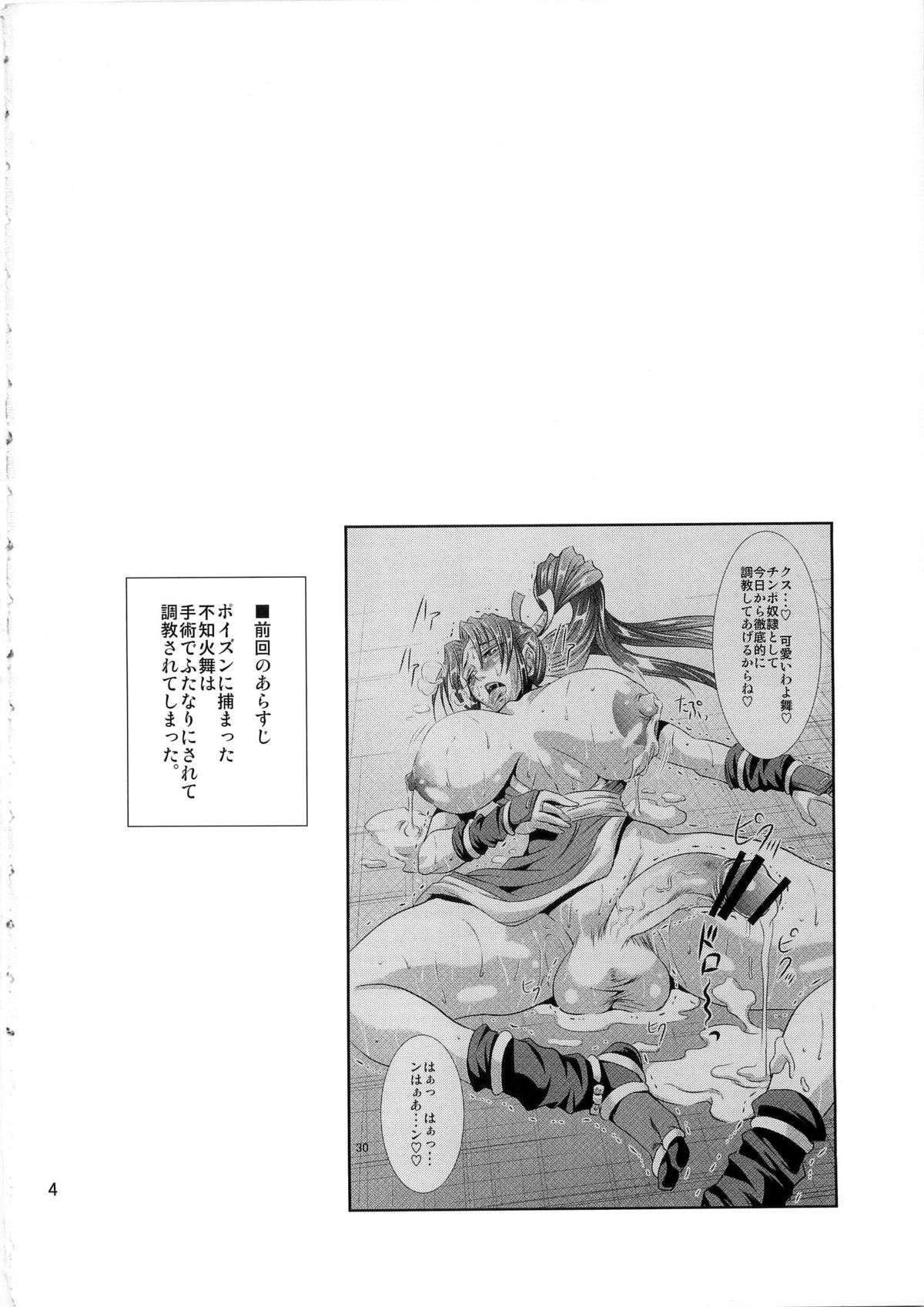 (C79) [武蔵堂 (ムサシノセカイ)] フタ舞精搾帖2 (ファイナルファイト、キング･オブ･ファイターズ)