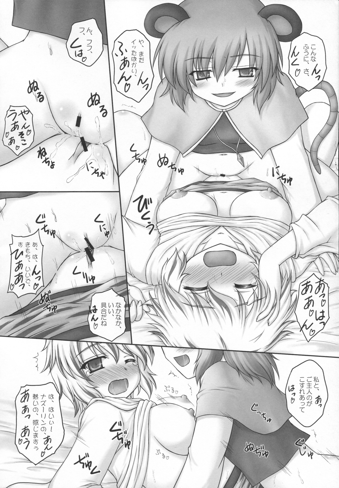 (C79) [にゅうたいぷ研究所 (理)] とらマル4! (東方Project)