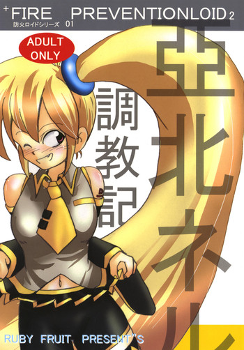 (C74) [RUBY FRUIT (琴月絶人)] 亞北ネル調教記 (VOCALOID2)