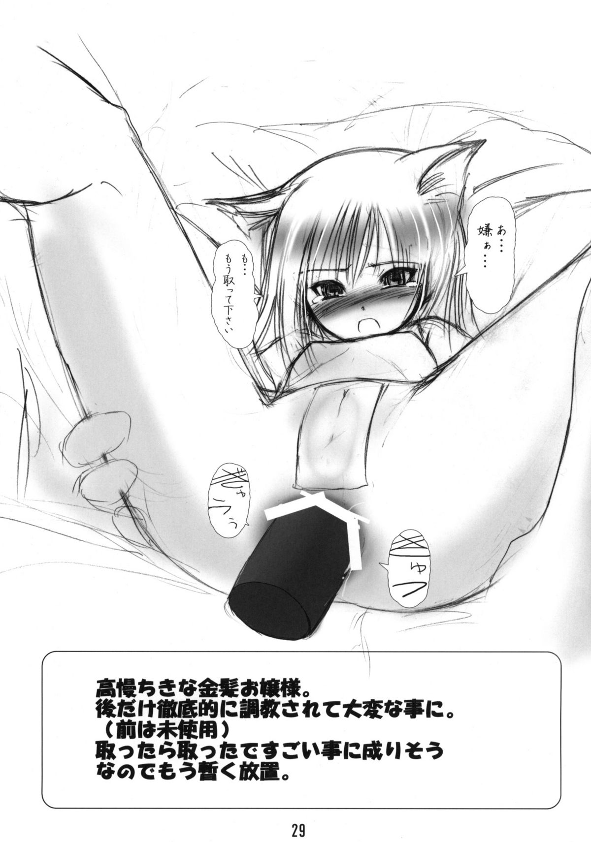 (C67) [端末異常 (BadHanD)] 白狐の杜