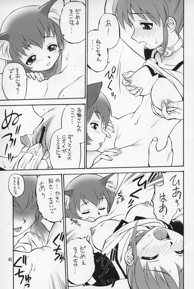 (C68) [ぢゃっからんたん (えびふらい、ねりわさび)] NEKO PANCHU (ファイナルファンタジーXI)