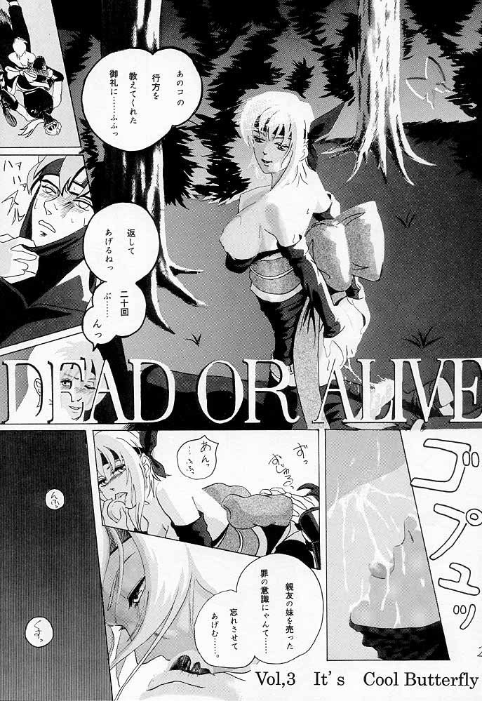 [チームグレート] Marron Glace ++（Dead or Alive）