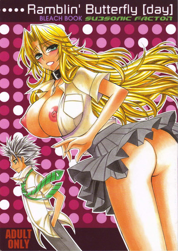 (C72) [SUBSONIC FACTOR (立嶋りあ)] Ramblin' Butterfly[day] (ブリーチ) [英訳]