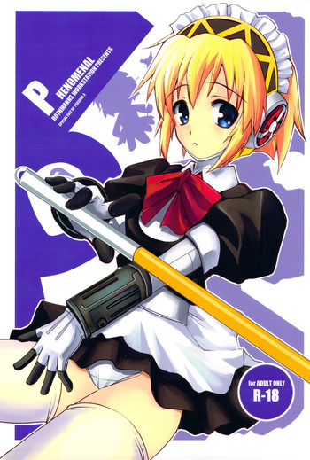 [R-WORKS]フェノメナル（P3）