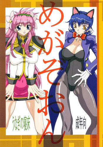 【うなぎのねどこ】メガゾーン