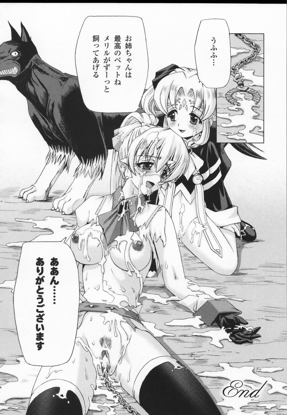 [アンソロジー] 白百合の剣士 アンソロジーコミックス