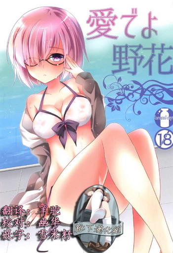 (COMIC1☆11) [brand nyu (nyu)] 愛でよ野花 (Fate/Grand Order) [中国翻訳]